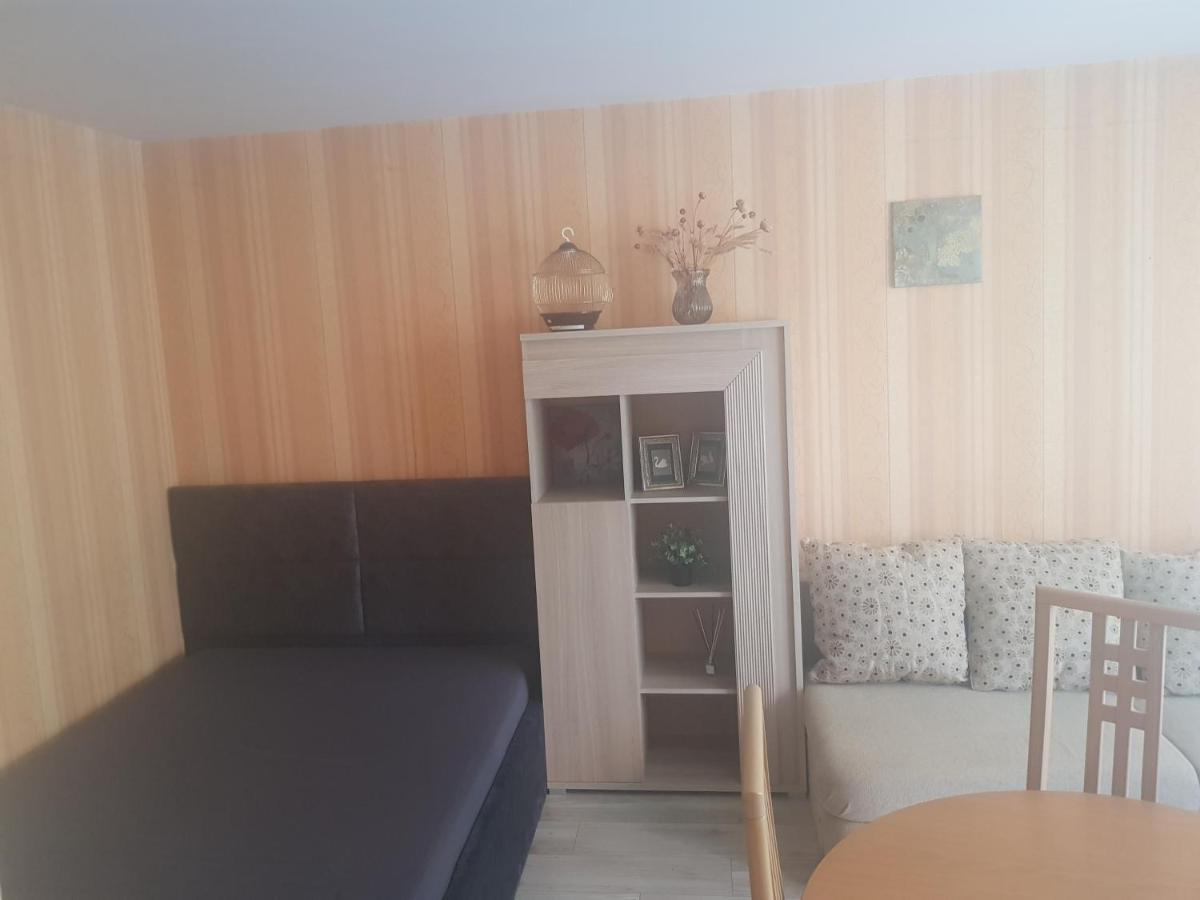 Danes Apartment By The River Klaipėda Exterior foto